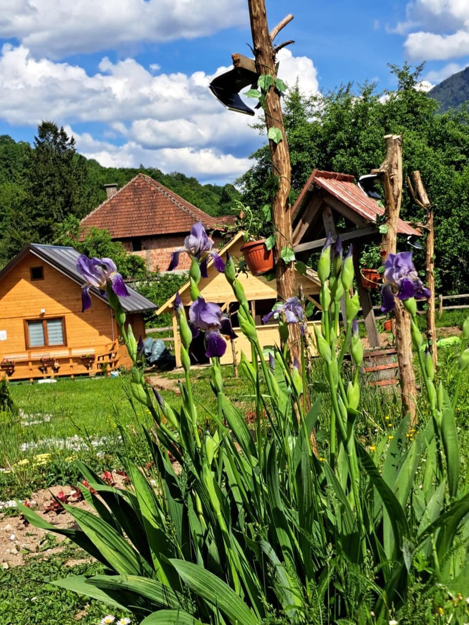 Bungalovi Mihajlo & Miloš Apartment in Montenegro