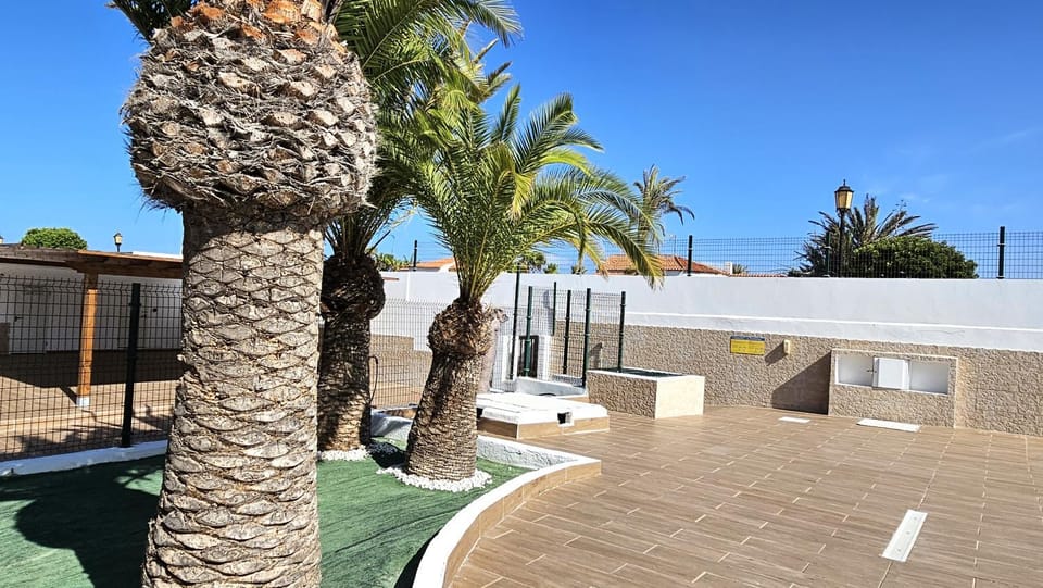 Patio, Garden, Swimming pool