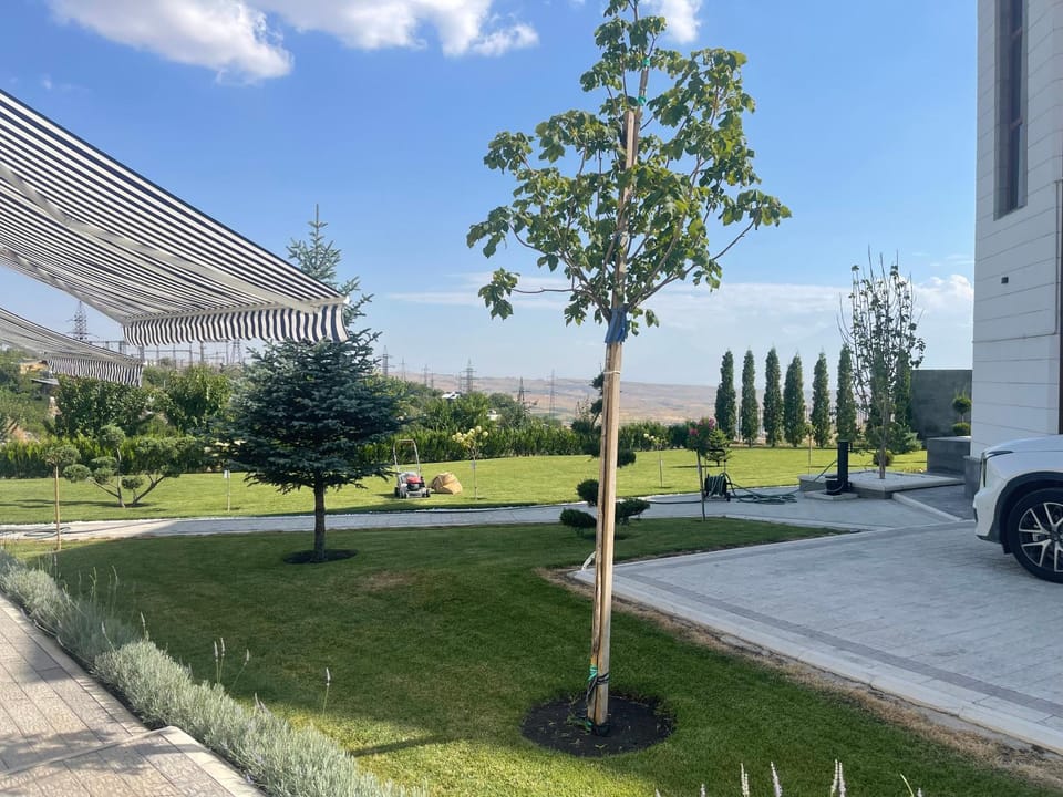Fabulous Villa In Yerevan. Villa in Yerevan