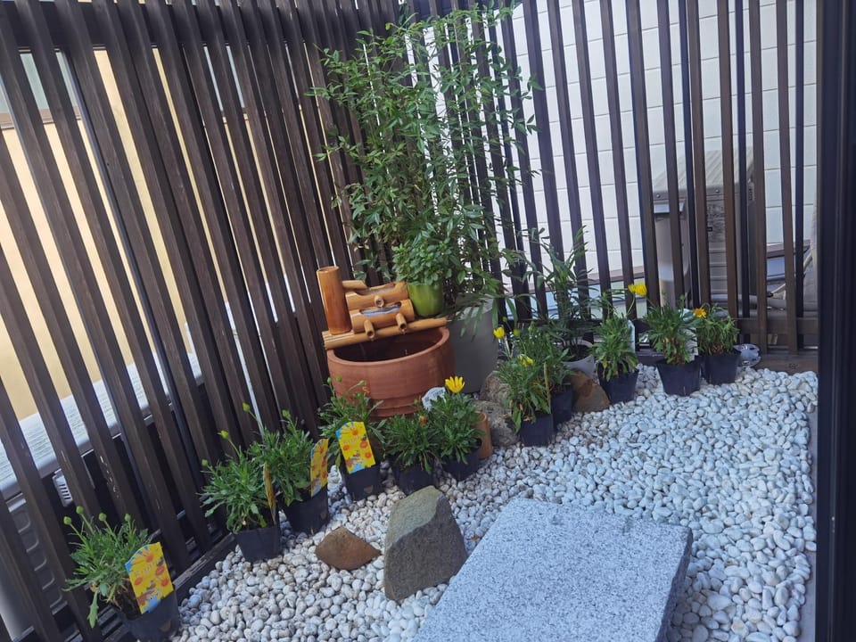 Garden view