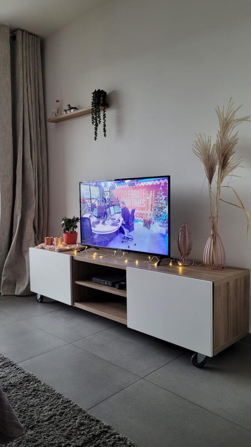 TV and multimedia