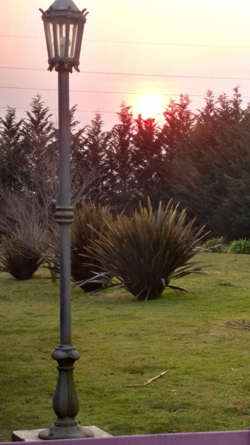 Natural landscape, Winter, Garden, Garden, Garden view, Sunrise