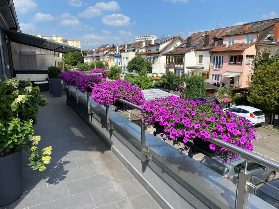 Günstige Zimmer-Unterkunft Zimmer mit Gemeinschaftsbad Apartment in Lörrach