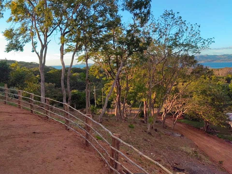 Natural landscape, Garden view, Sea view