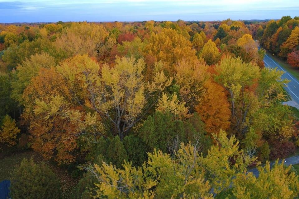 Day, Natural landscape, Bird's eye view, Lake view, River view