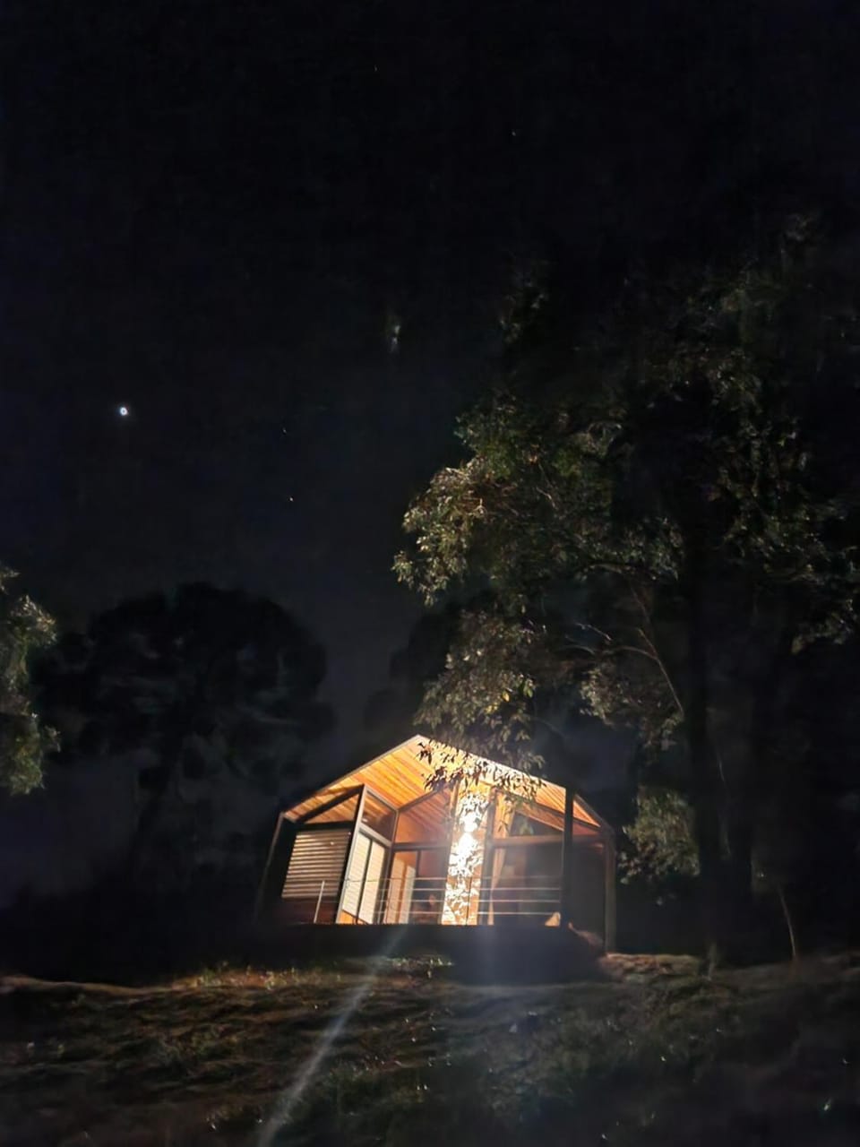 Night