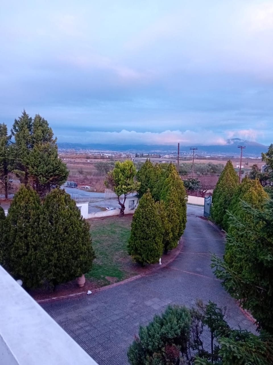 Bird's eye view, Garden