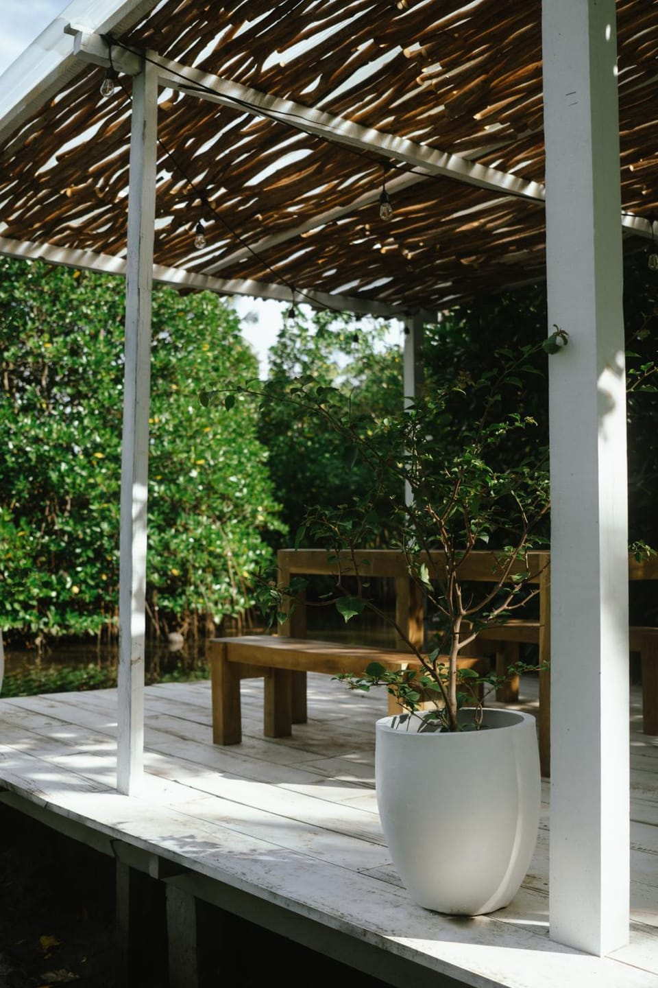 Patio, Day, Garden, Garden view