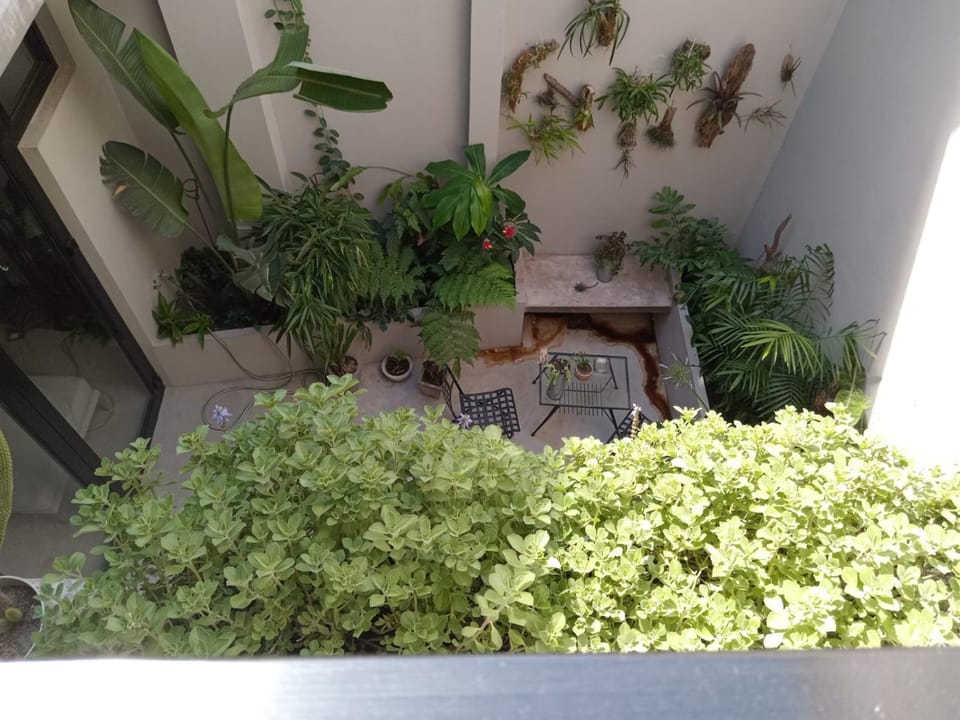 Garden view