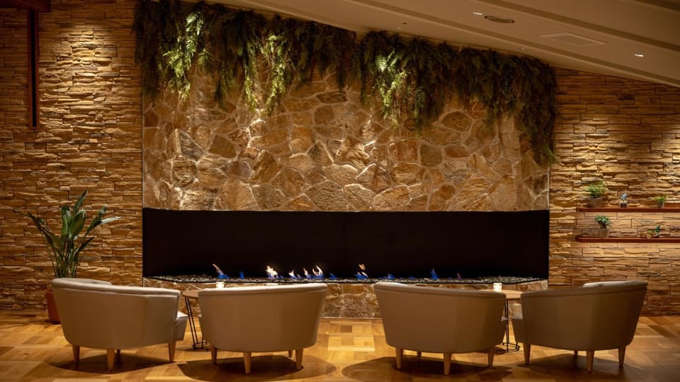 Lounge or bar