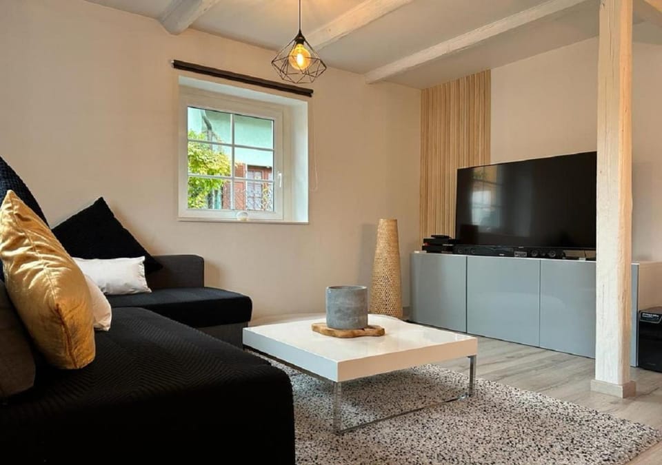 Communal lounge/ TV room, Living room, Seating area