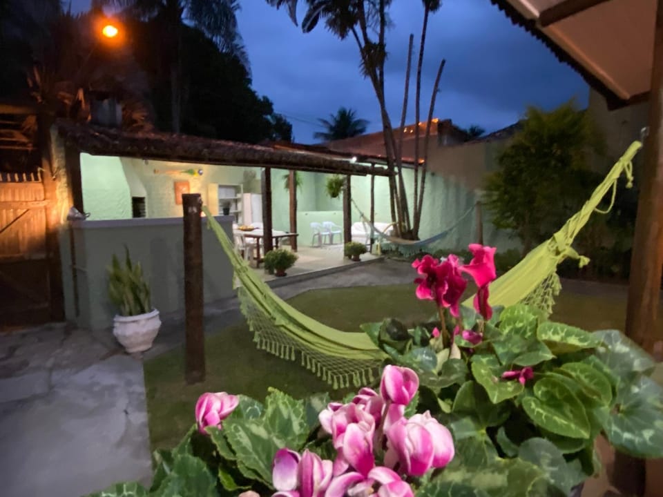 Patio, Garden, Garden view