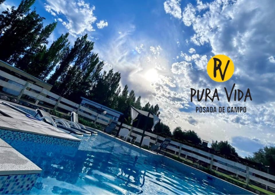 Pool view, Swimming pool, sunbed