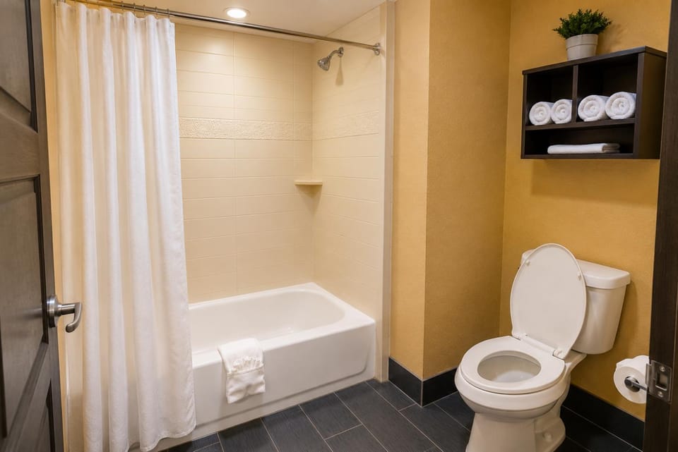 Shower, Toilet, Bathroom, Bath, towels