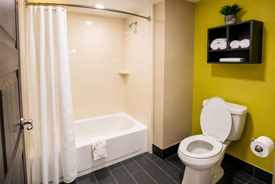 Shower, Toilet, Bathroom, Bath, towels