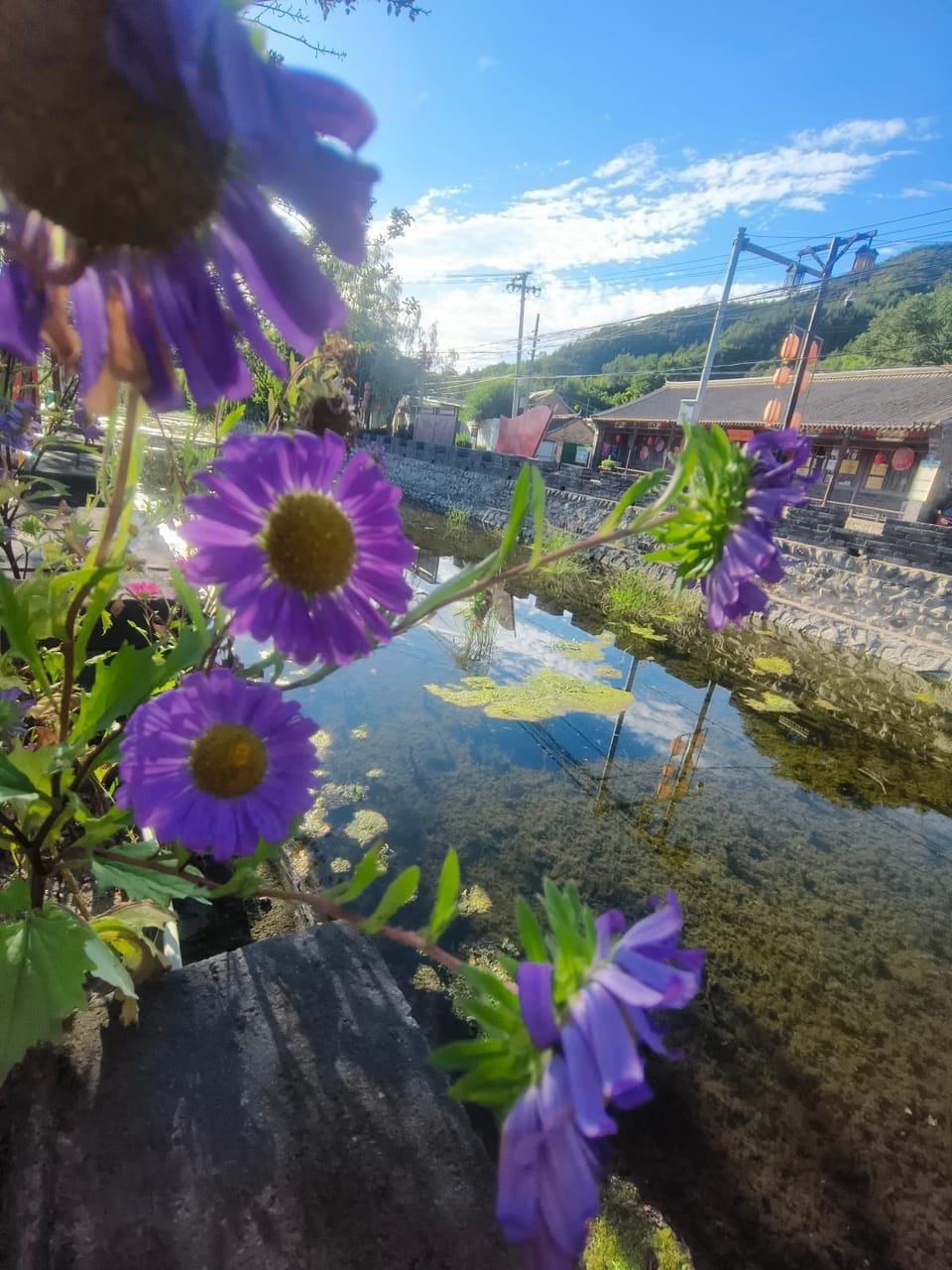 Garden view, River view