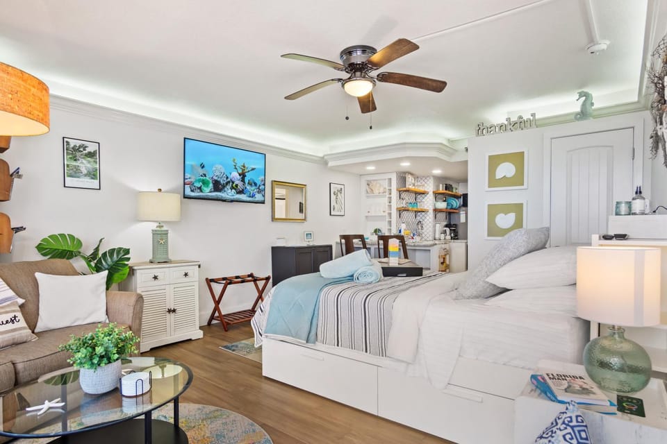 Bed, TV and multimedia, Living room, Photo of the whole room, Seating area, Bedroom, fireplace, air conditioner