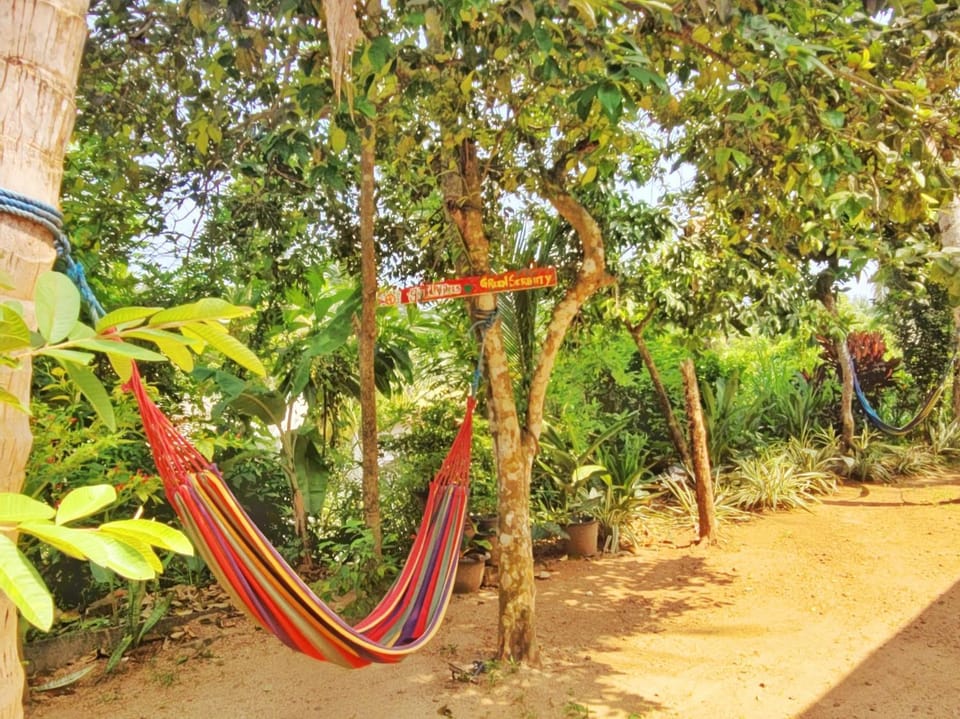 Hill house guest Bed and Breakfast in Mirissa