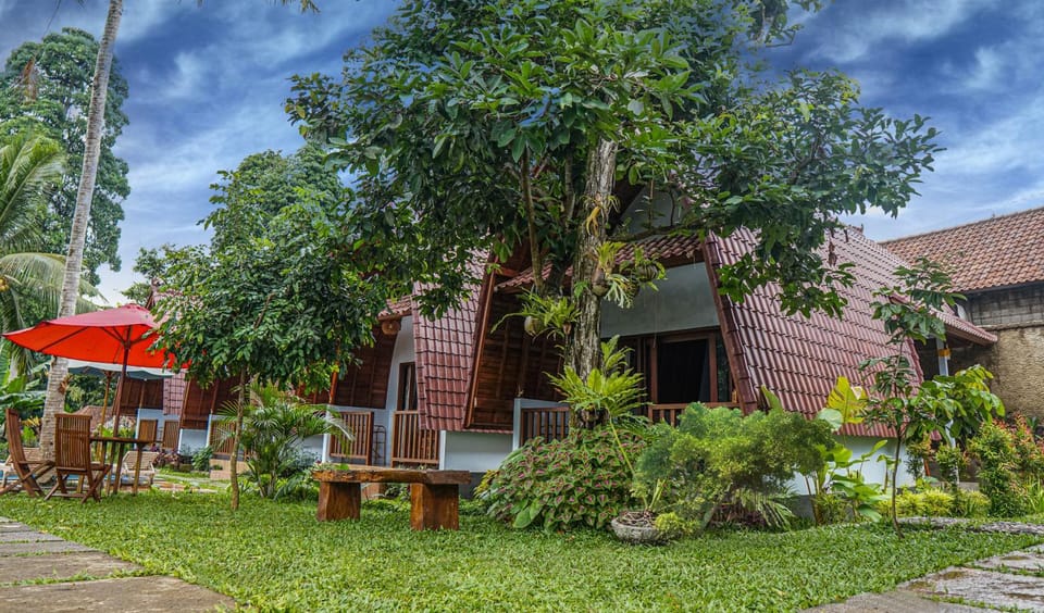 Property building, Patio, Day, Natural landscape, Garden, Garden, Garden view