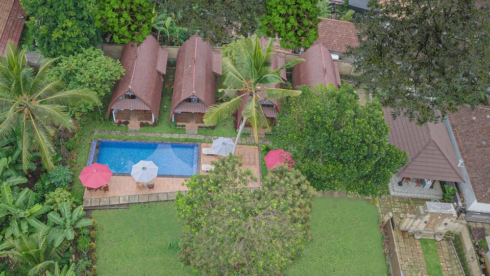 Property building, Day, Garden, Garden, Garden view, Pool view, Swimming pool, Swimming pool, sunbed