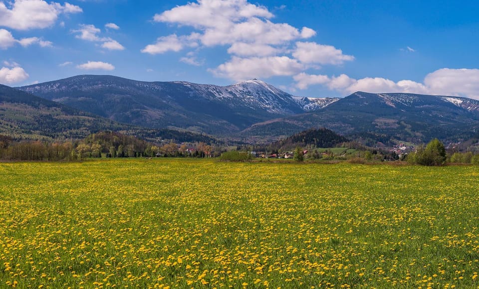Nearby landmark, Spring
