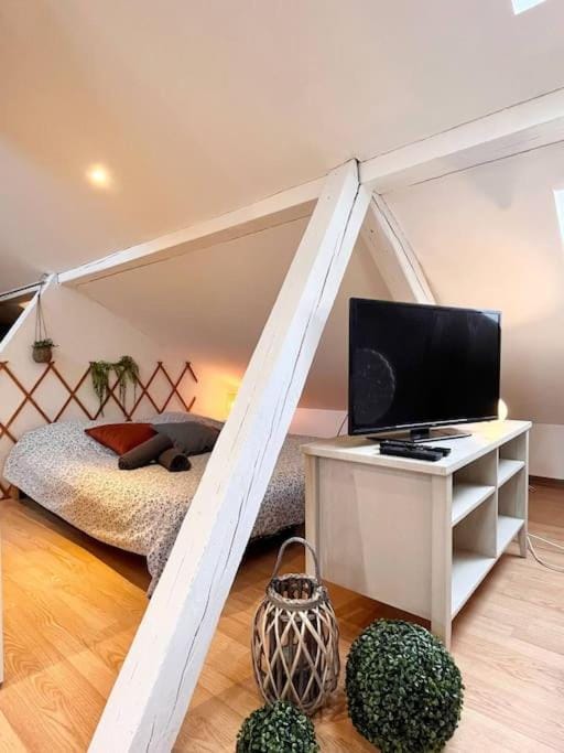 Petit Loft Centre Ville Historique proche GARE TGV Apartment in Mulhouse