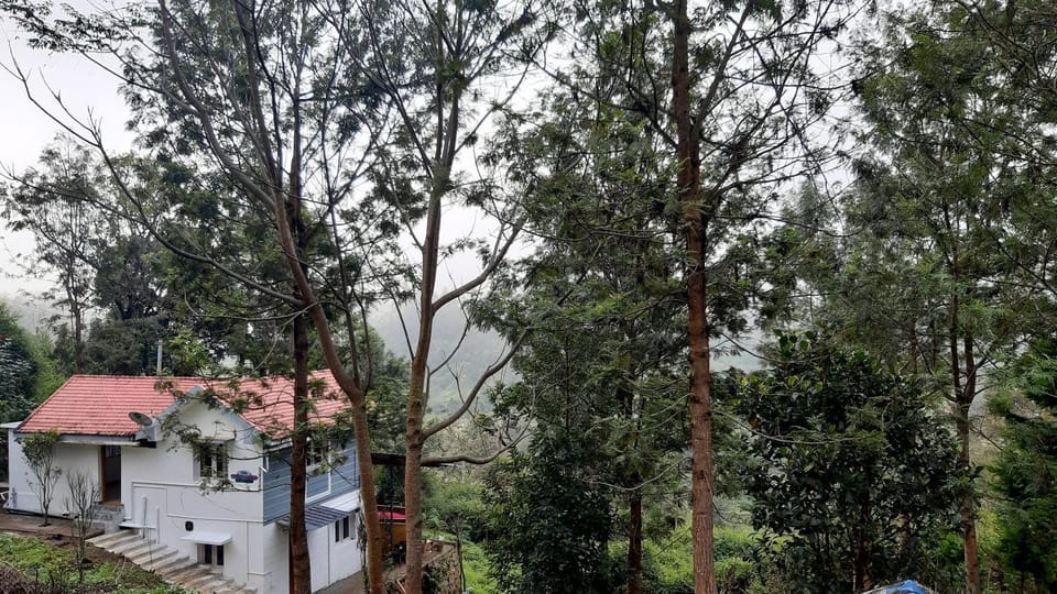 jacaranda resorts Hotel in Kerala