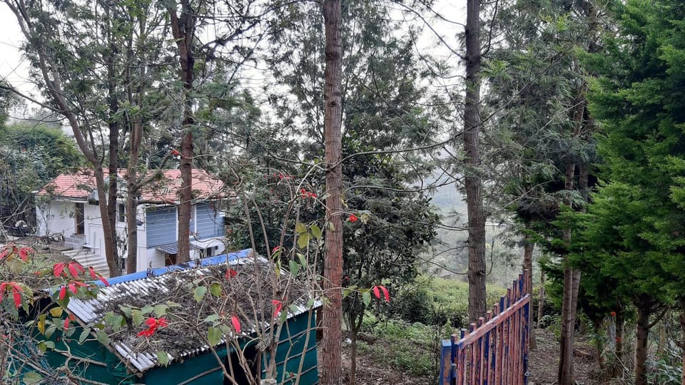 jacaranda resorts Hotel in Kerala