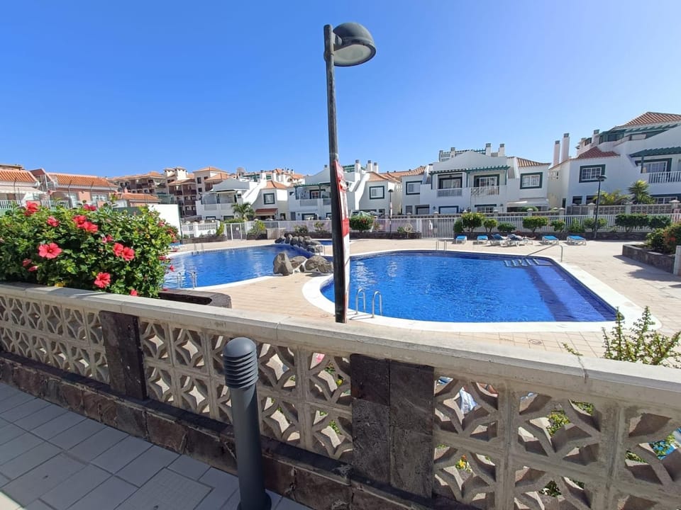 Day, Pool view, Swimming pool, Swimming pool, sunbed