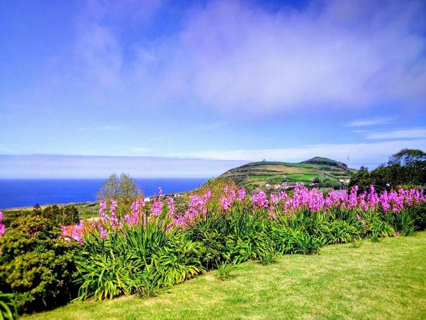 Spring, Day, Natural landscape, Mountain view, Sea view