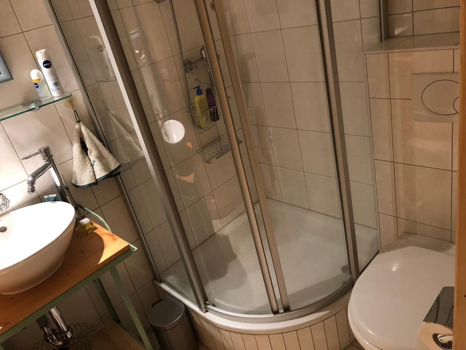 Apartments Vieux Chalet Apartment in Canton of Valais