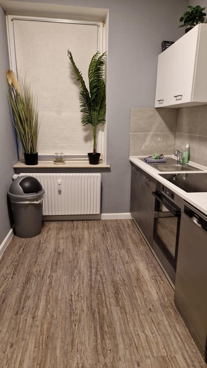 Kitchen or kitchenette, internet, stove