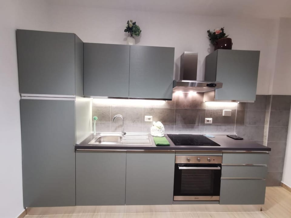 Kitchen or kitchenette, dishwasher, pet friendly, stove