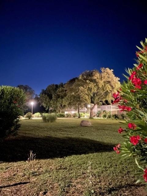 Garden view