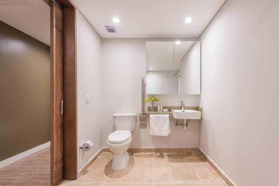 Toilet, Bathroom, towels