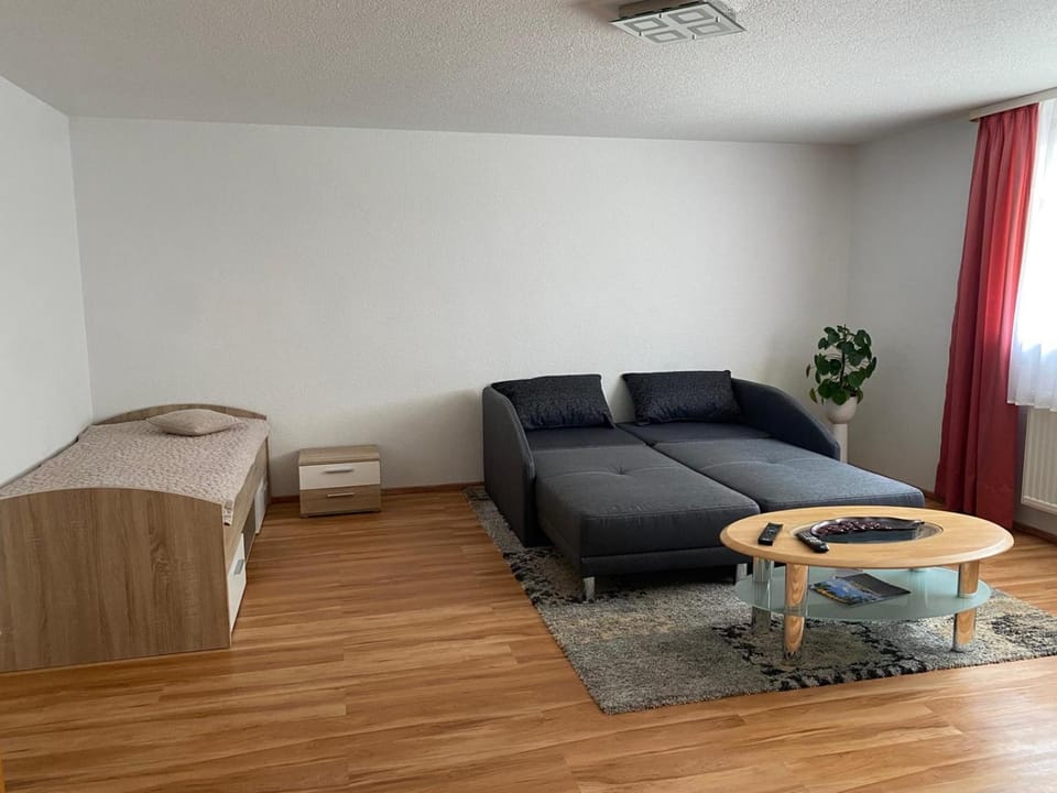 Bed, Living room, Photo of the whole room