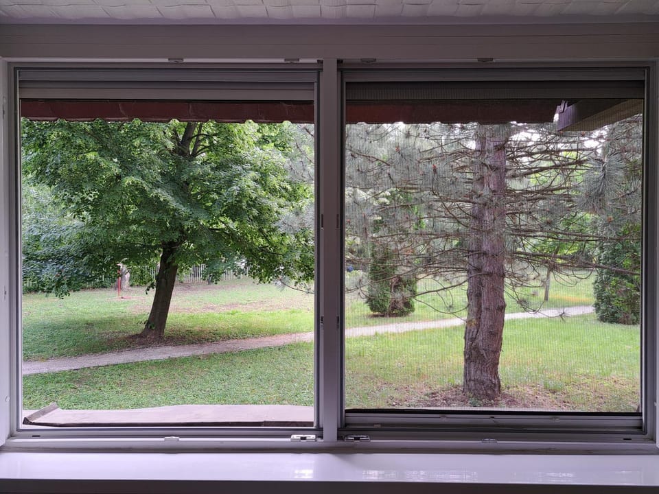 Garden, Garden view
