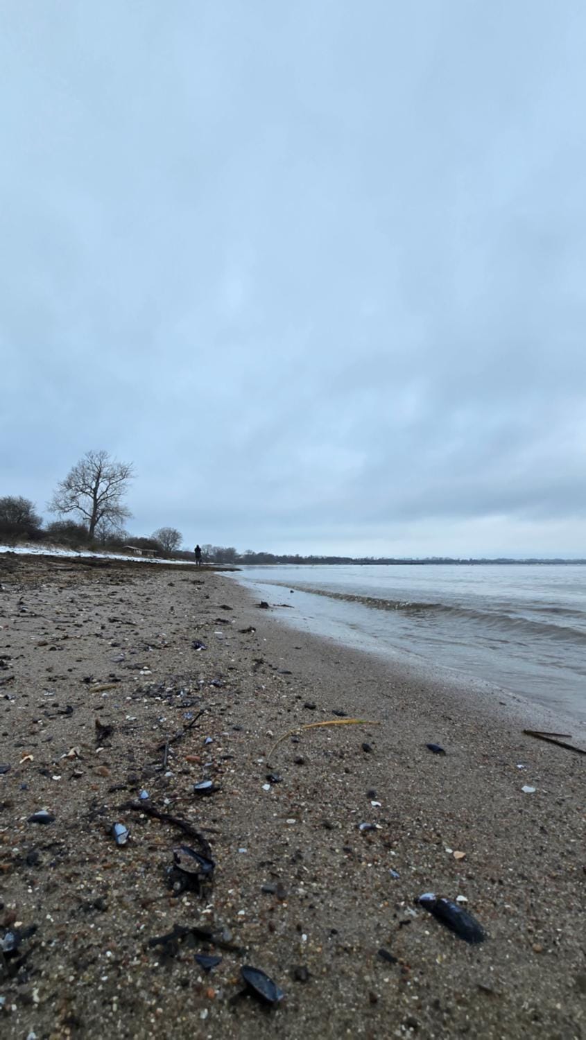Natural landscape, Beach