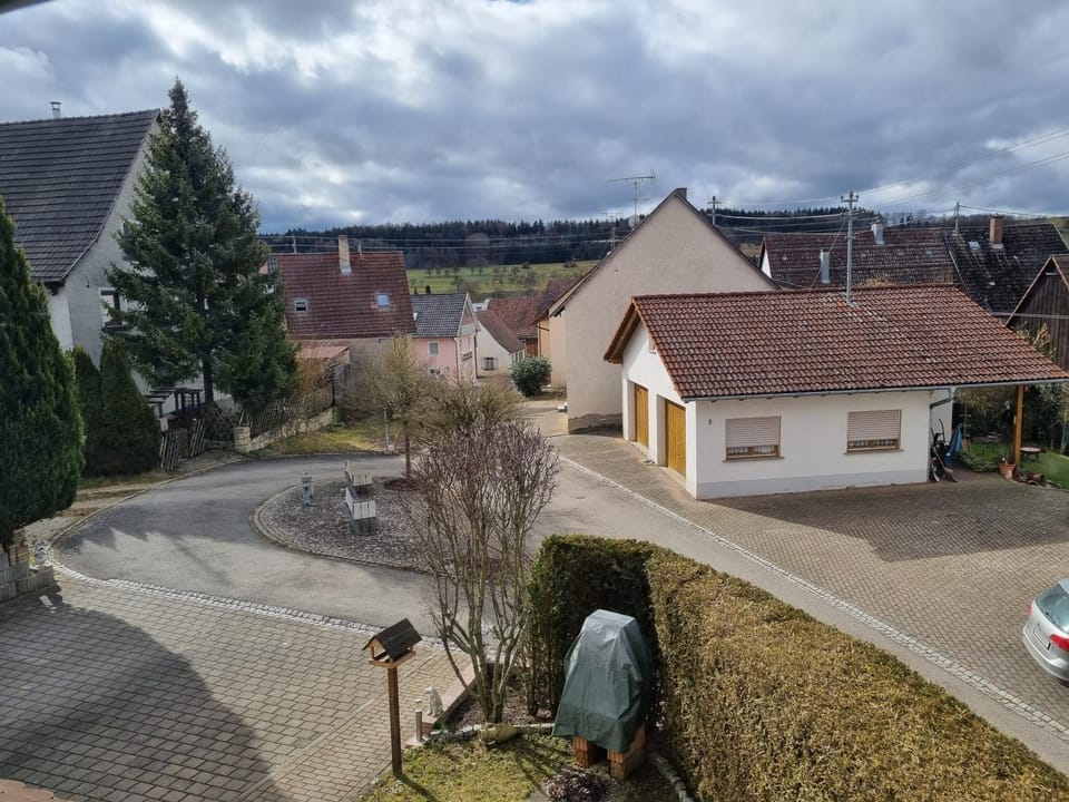Garden view
