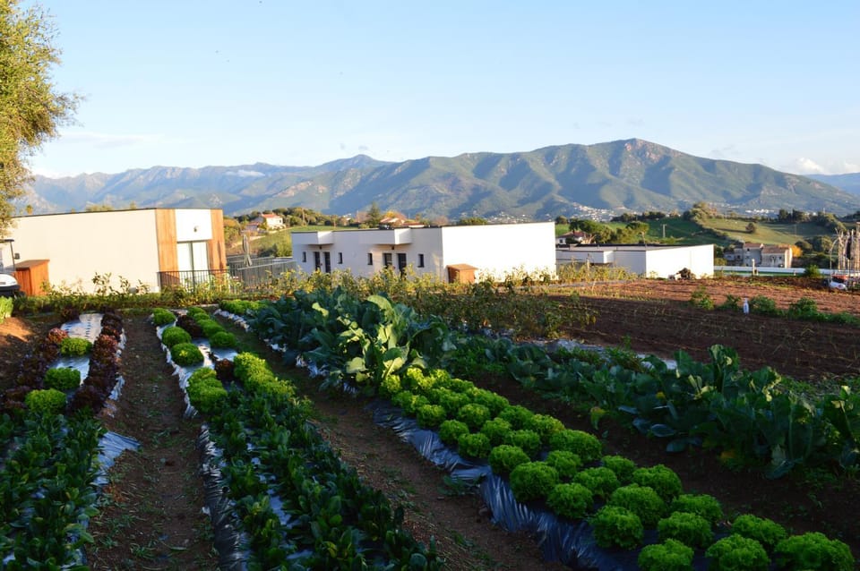 Garden, Garden