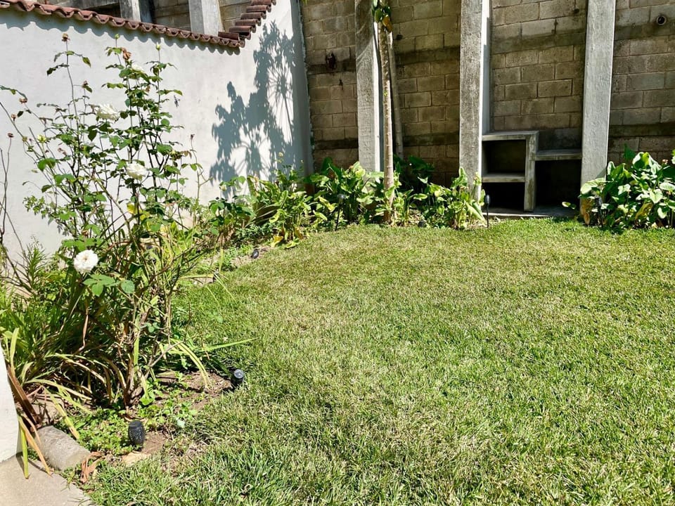 Garden, Garden view
