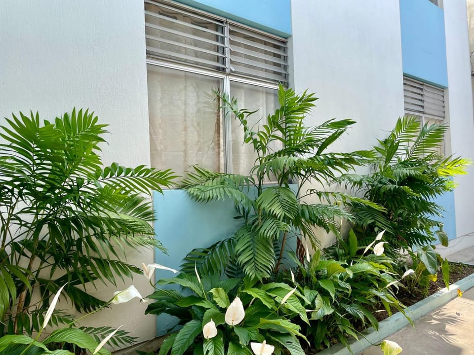 Property building, Garden