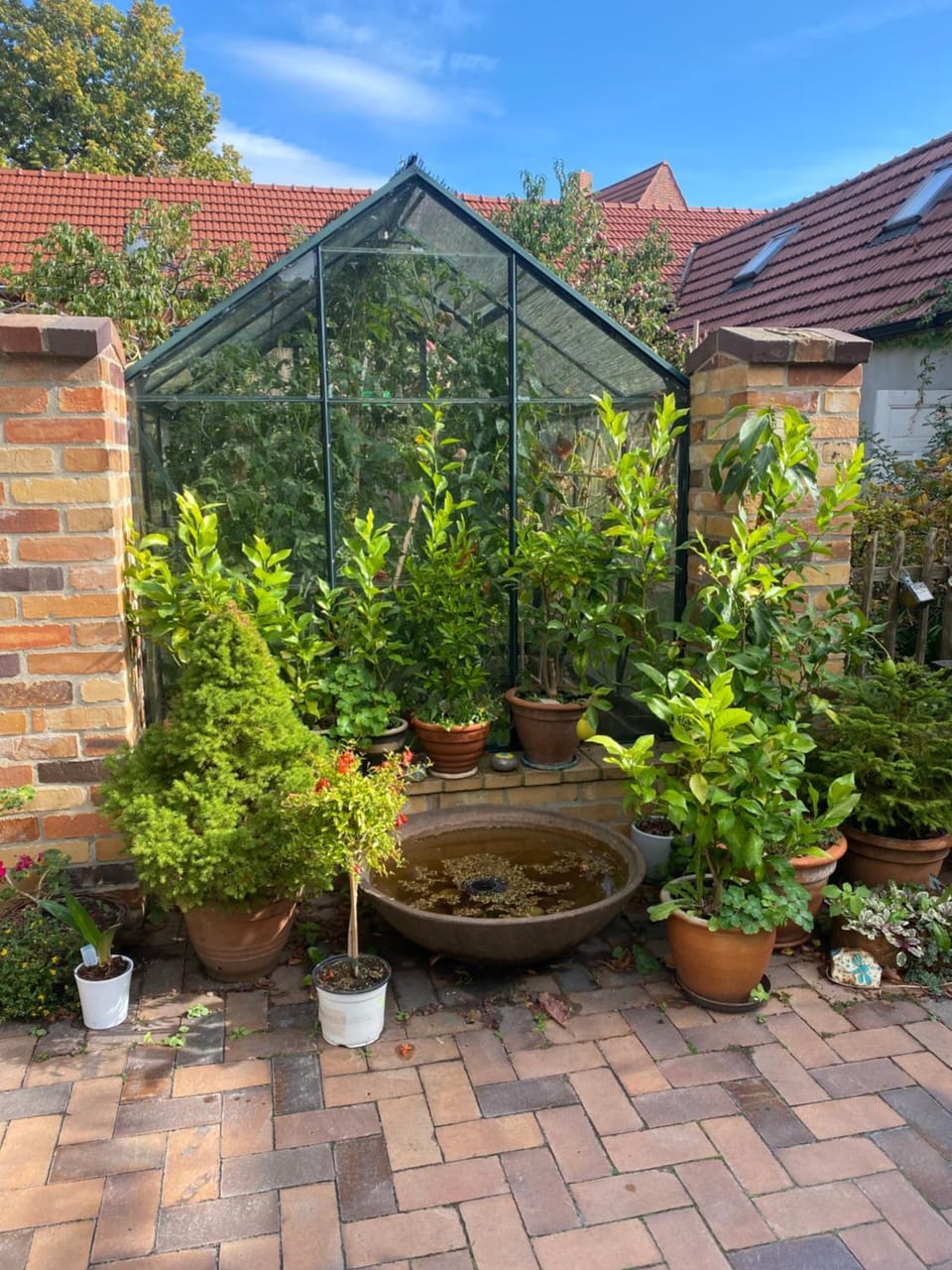 Garden view