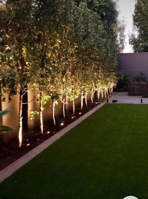 Garden, Balcony/Terrace