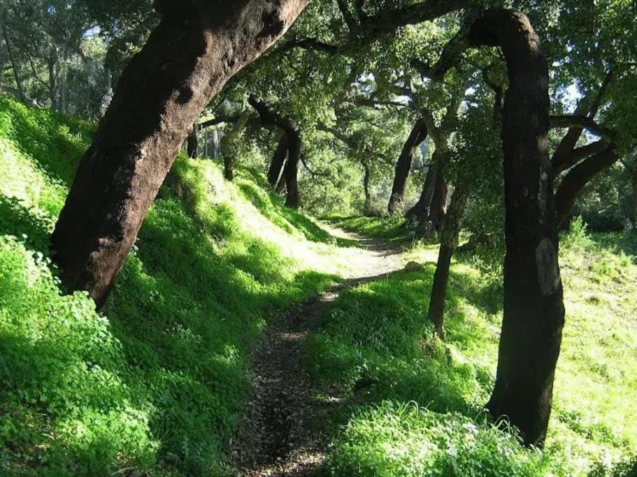 Casa de Diego el Barbero House in Costa del Sol