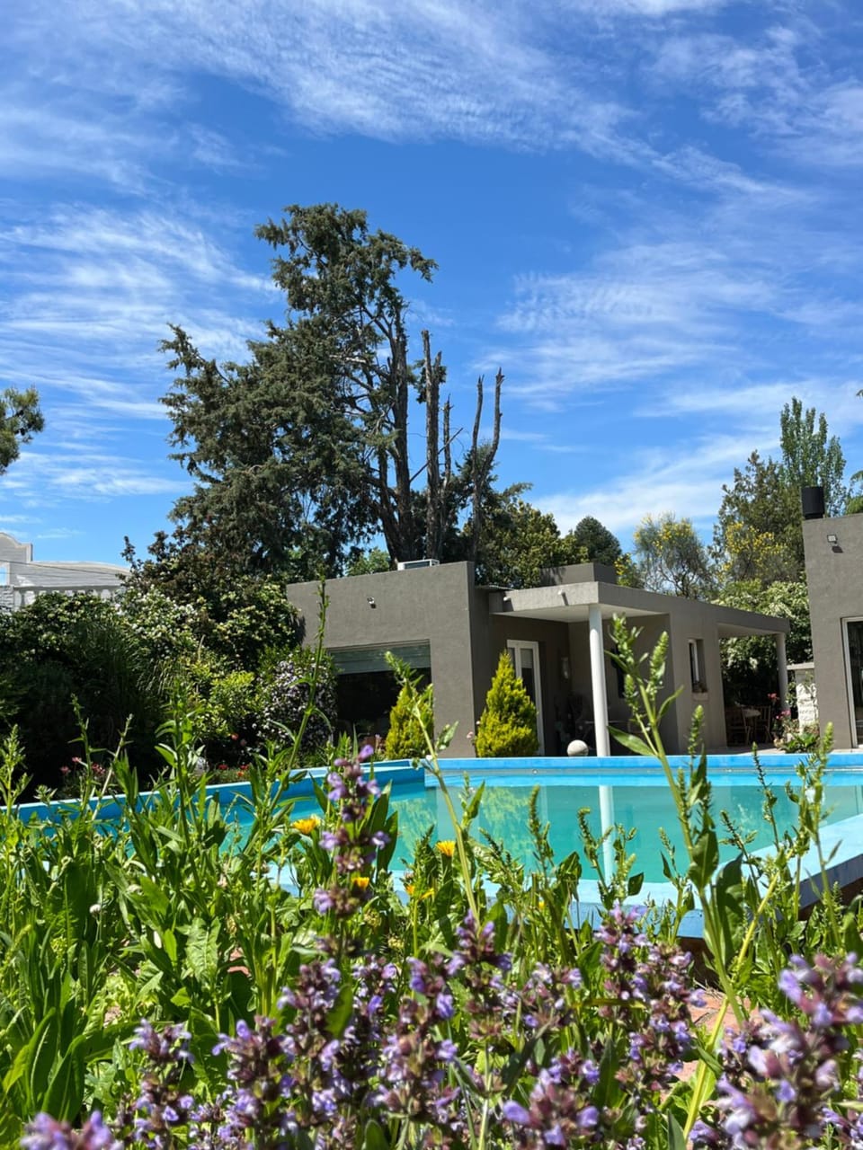 Bonita Pampa Apartment in Santa Rosa