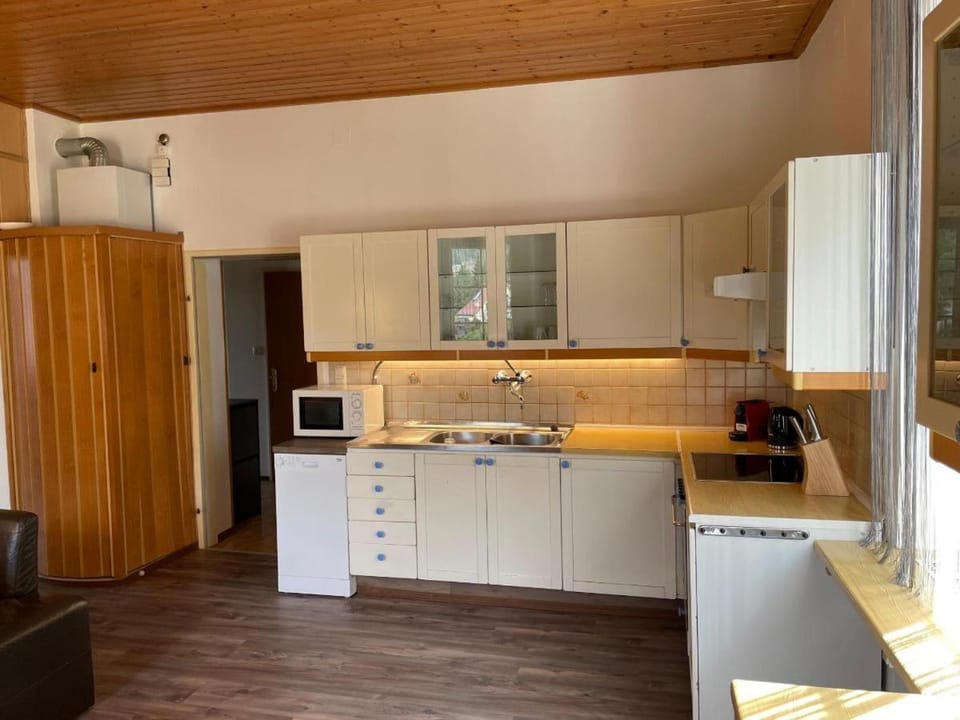 Kitchen or kitchenette, dishwasher, minibar, stove, toaster
