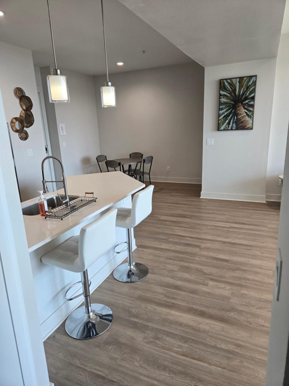 2bdrm/2 King beds/1Air mattress Apartment in Dallas