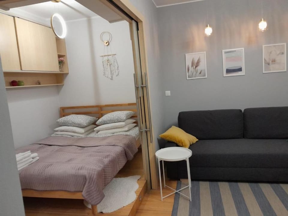 Studio Głębocka 56 Apartment in Warsaw