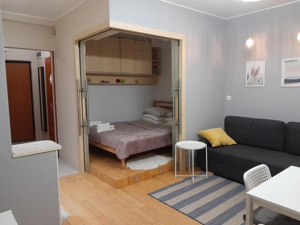 Studio Głębocka 56 Apartment in Warsaw